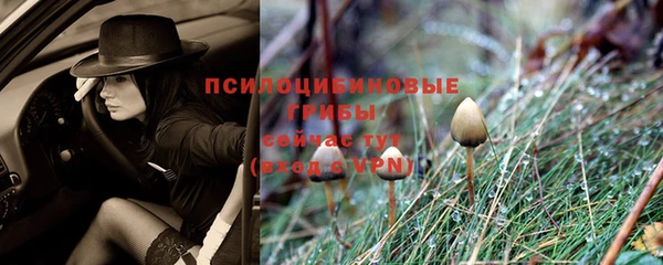 СК Алзамай