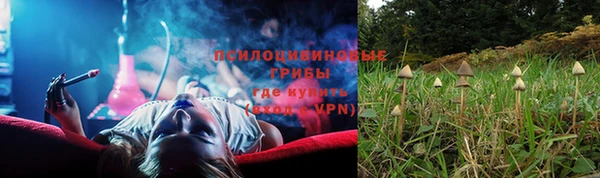 твердый Алексин